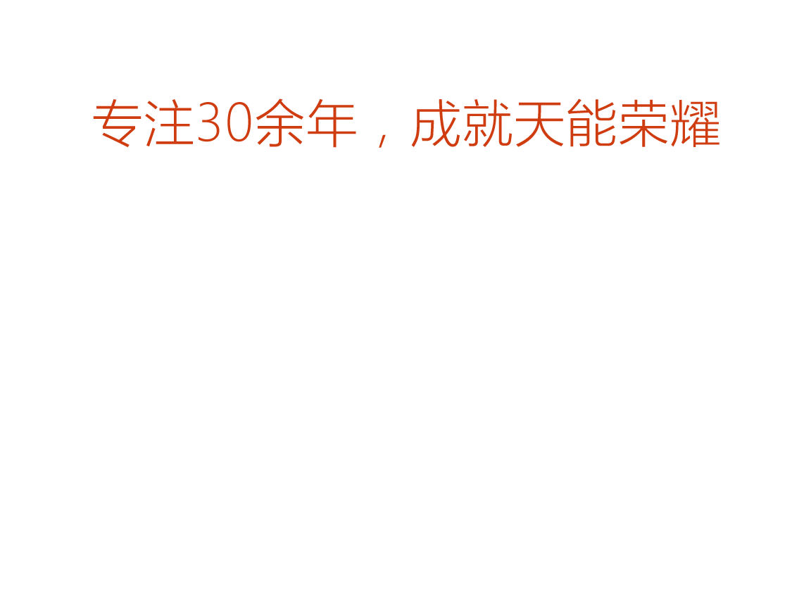 正点游戏荣誉